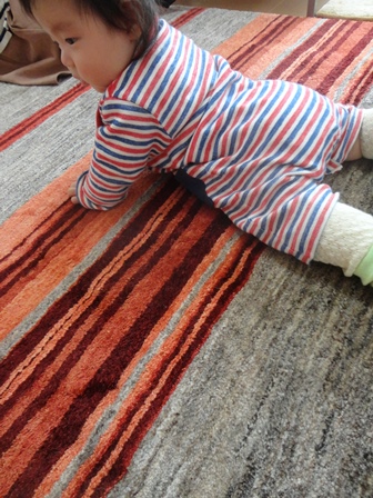お子さまにとってのじゅうたんは世界そのもの