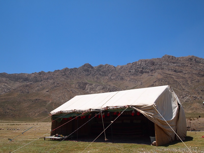 ギャッベ　ペルシャ絨毯　マツコの知らない世界　遊牧民のテント