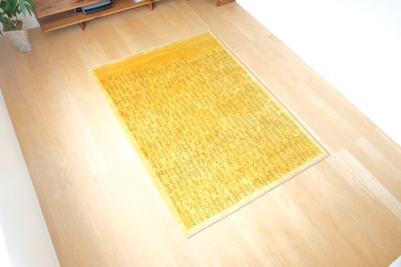 もしも鳥になったら